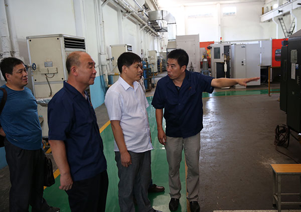 Inspection by leaders of Hengtian Hailong